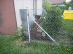 COOLPIX S1200pj, T:10/300, A:f/3.9, P:2, ISO80, F:50mm, EV:0 <br />04.06.2014 -  19:28:57